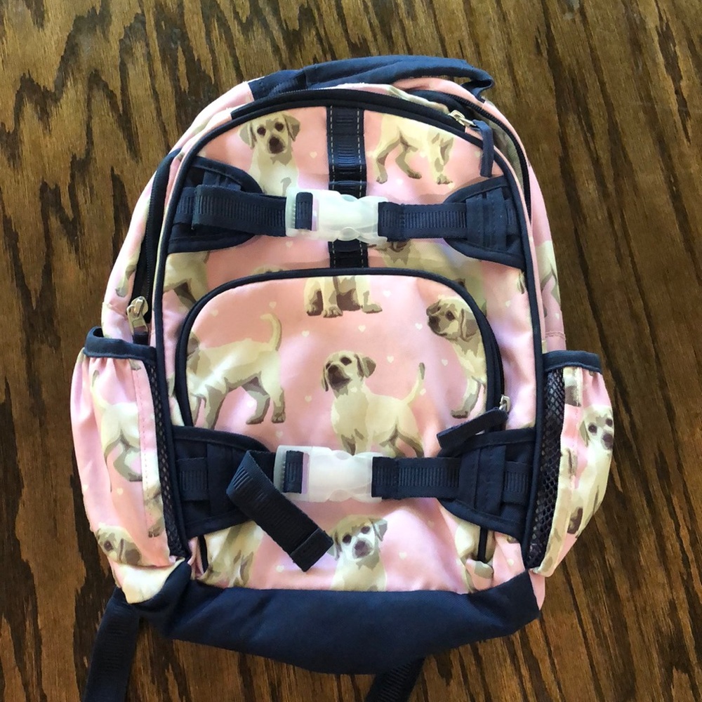 Pottery Barn Kids back pack